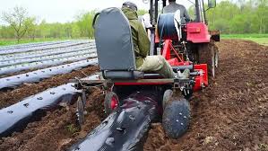 Tractor laying mulch film on agricultural row